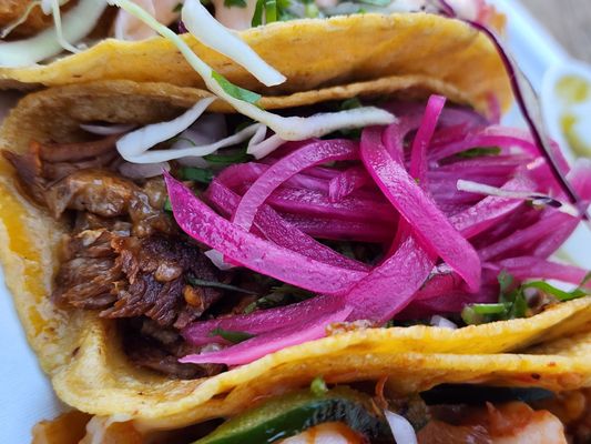 Frida’s Cocina MKE signature dishes Al Pastor Tacos, Beef Birria Tacos, Bistec Tacos, Vegetarian Tacos, and Shrimp Governador Tacos.